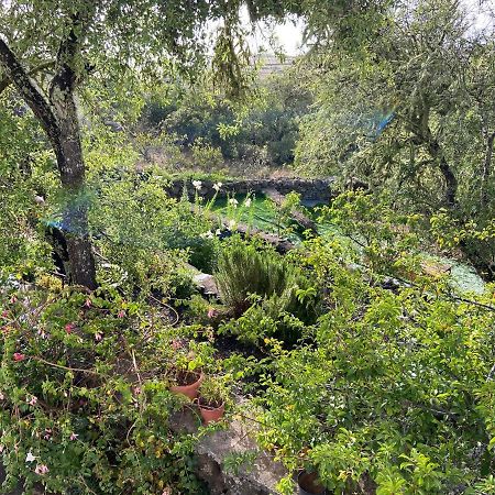 Casas Rurales Tio Antonio Las Rosas  Екстер'єр фото