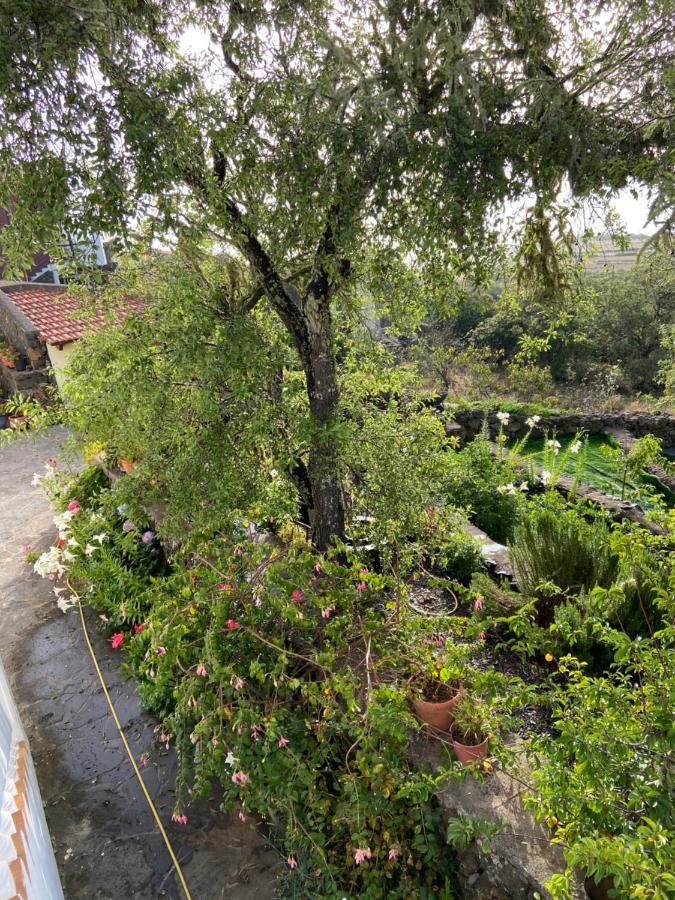 Casas Rurales Tio Antonio Las Rosas  Екстер'єр фото